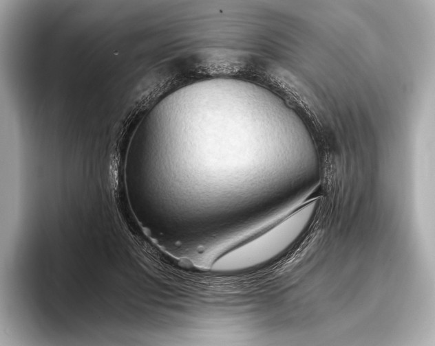 X0000093410501200710260941