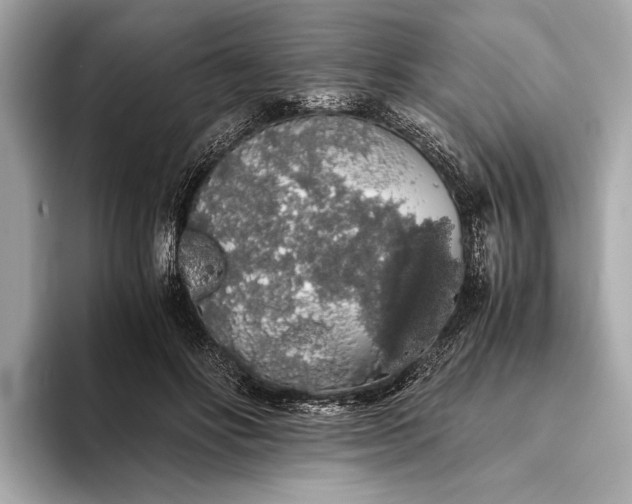 X0000093410502200710260941