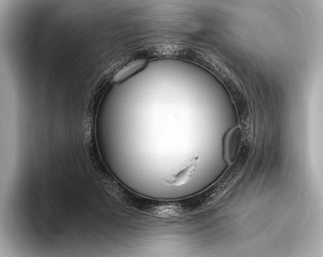 X0000093410505200710260941