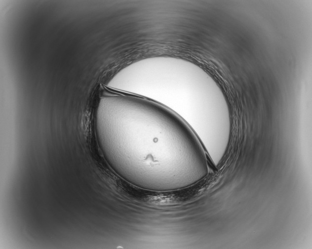 X0000093410511200710260941