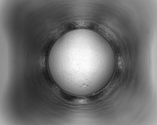 X0000093410514200710260941