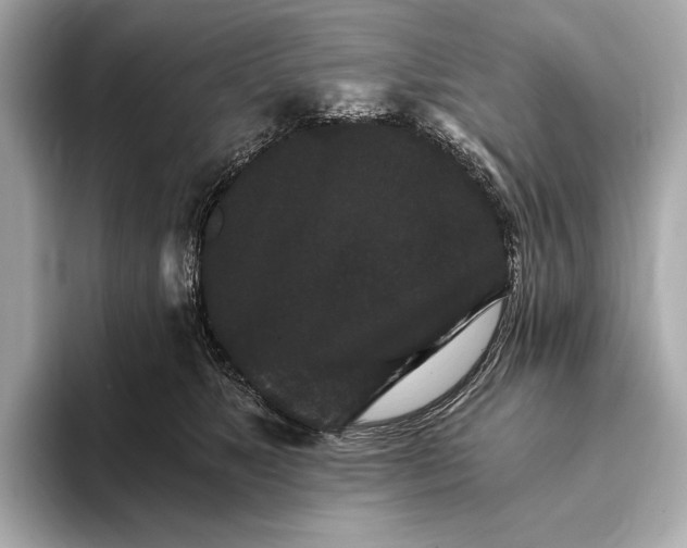 X0000093410517200710260941