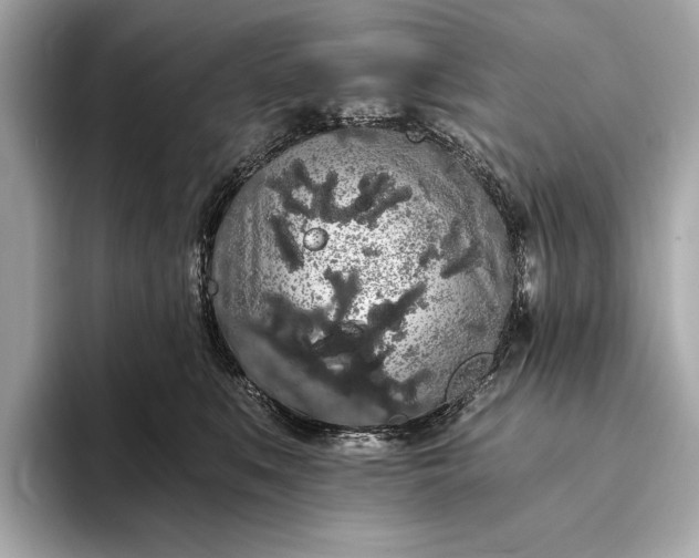 X0000093410519200710260940