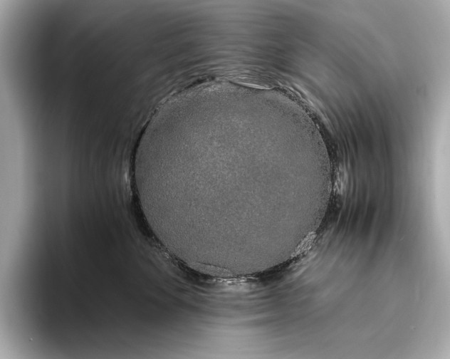 X0000093410524200710260940