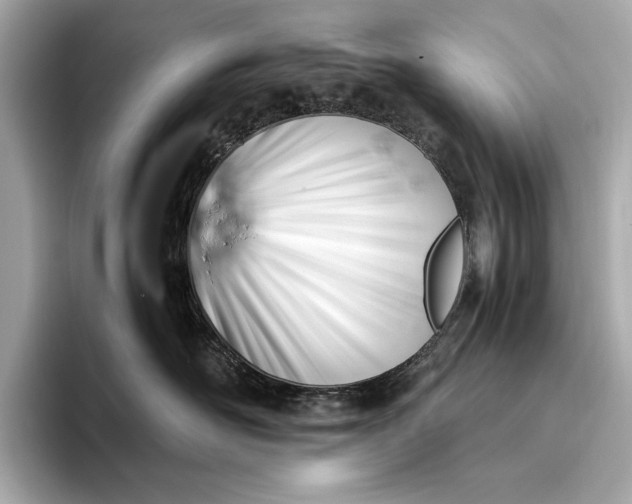 X0000093410526200710260940