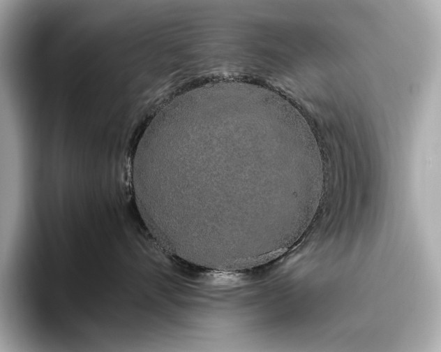 X0000093410528200710260940