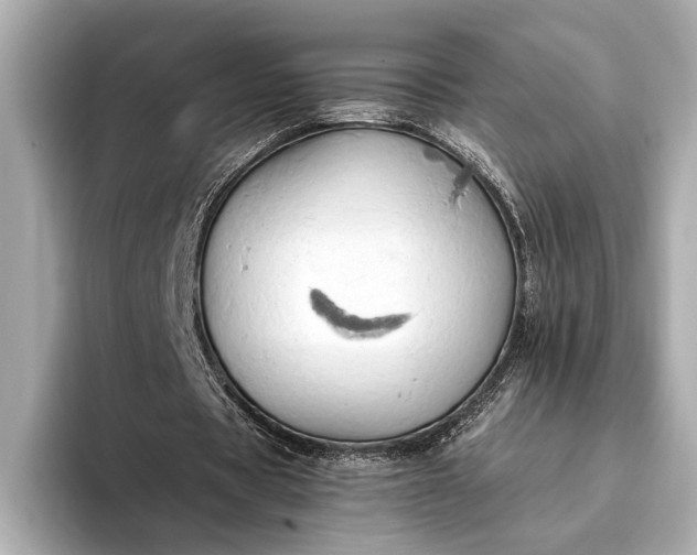 X0000093410529200710260940