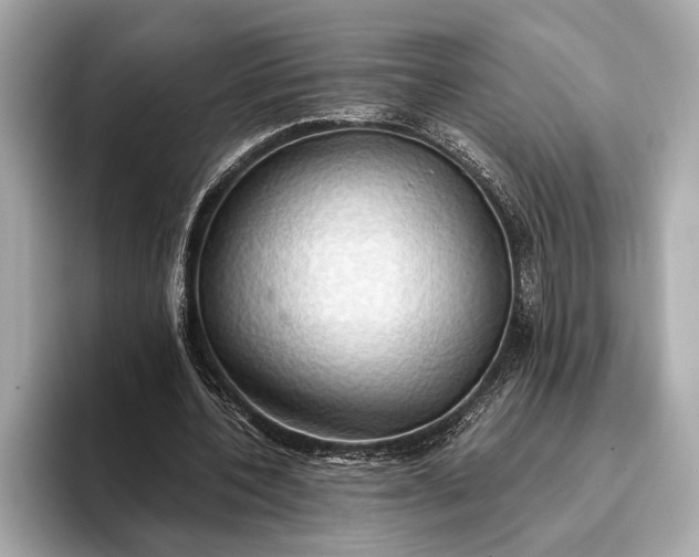 X0000093410532200710260940