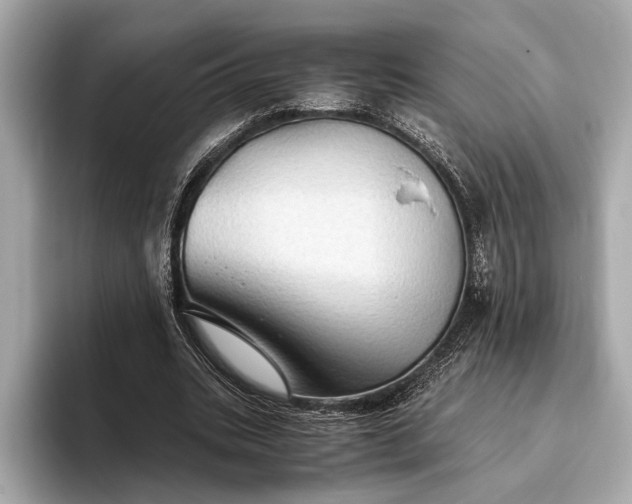 X0000093410535200710260940