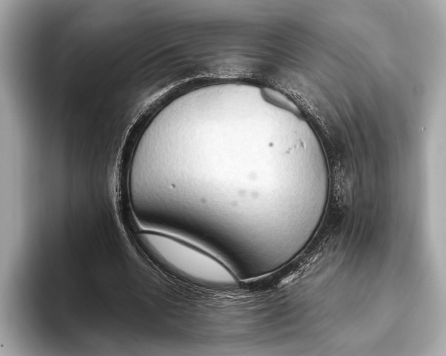 X0000093410536200710260940