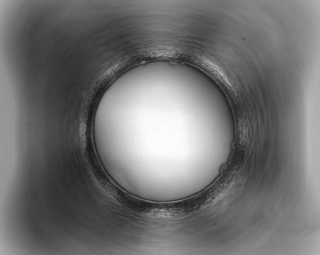 X0000093410538200710260940