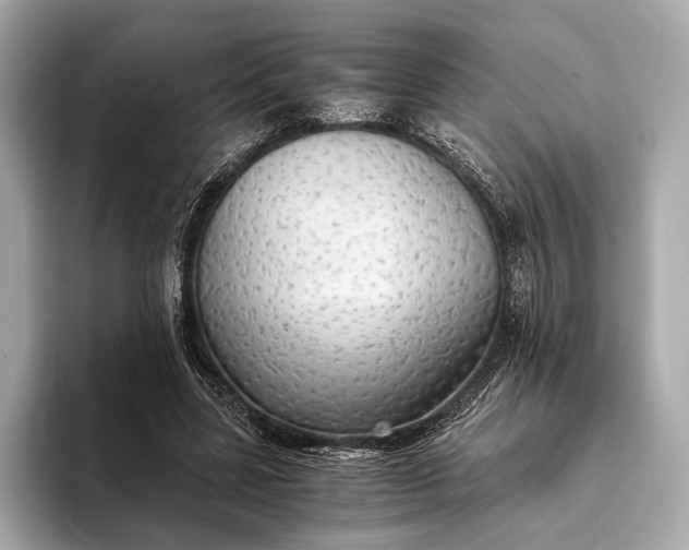 X0000093410539200710260940