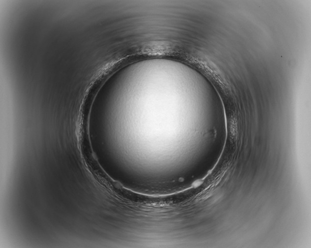 X0000093410540200710260940