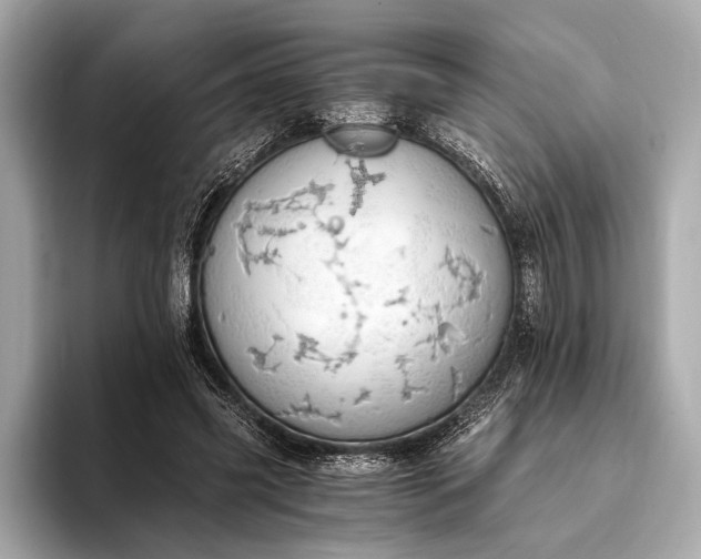 X0000093410541200710260940