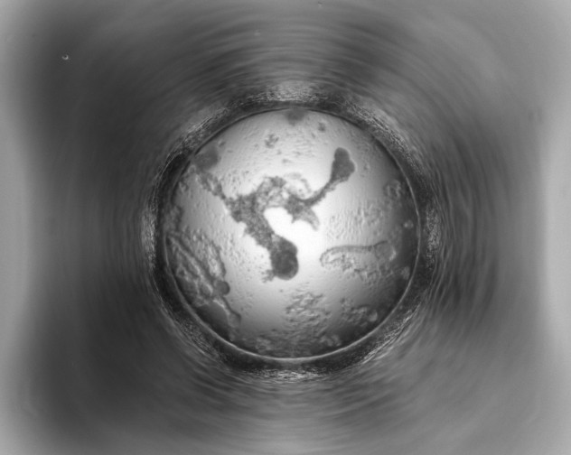 X0000093410542200710260940