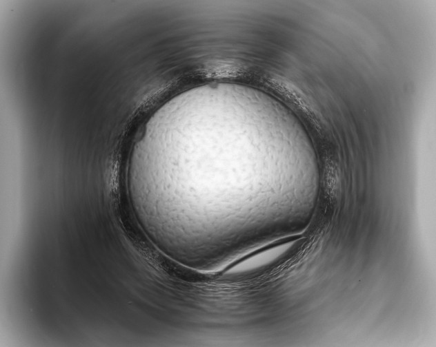 X0000093410543200710260940