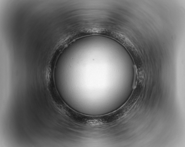 X0000093410544200710260940