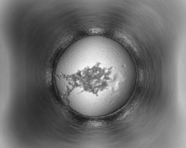 X0000093410545200710260940