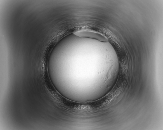 X0000093410546200710260940