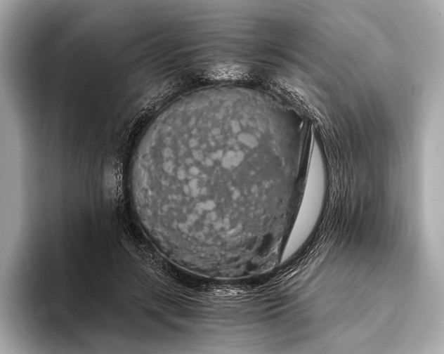 X0000093410547200710260940