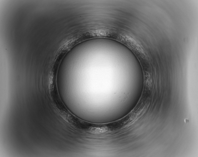 X0000093410548200710260940