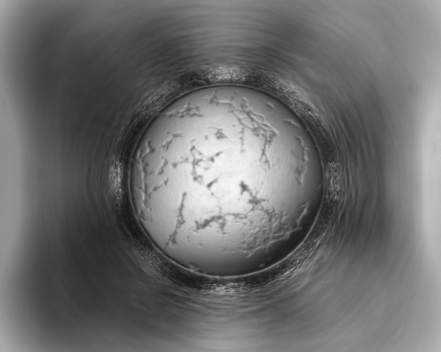 X0000093410550200710260940