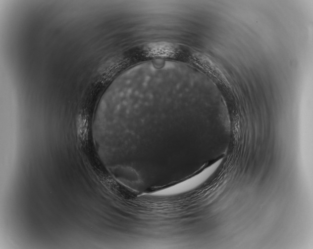 X0000093410551200710260940