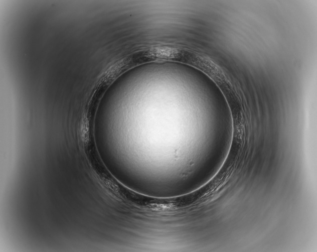 X0000093410552200710260940