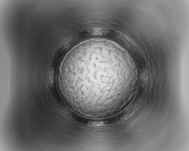 X0000093410554200710260940