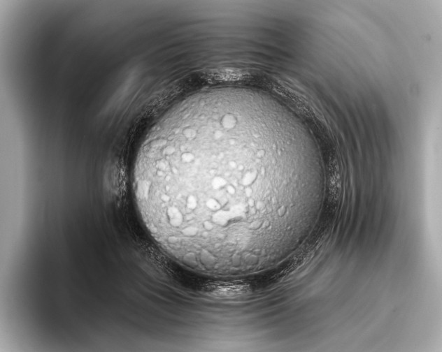 X0000093410555200710260940