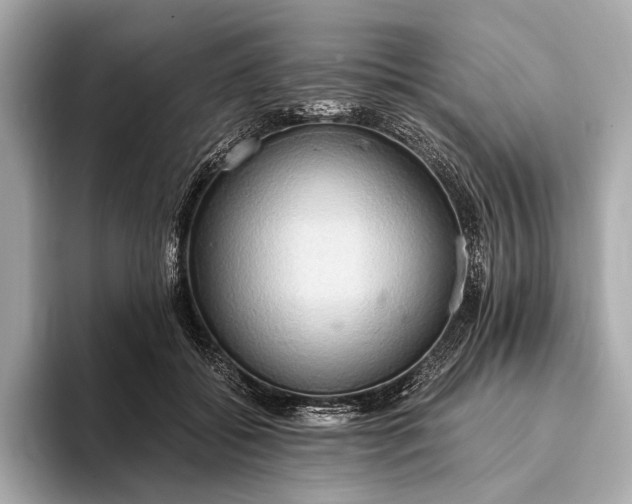 X0000093410556200710260940