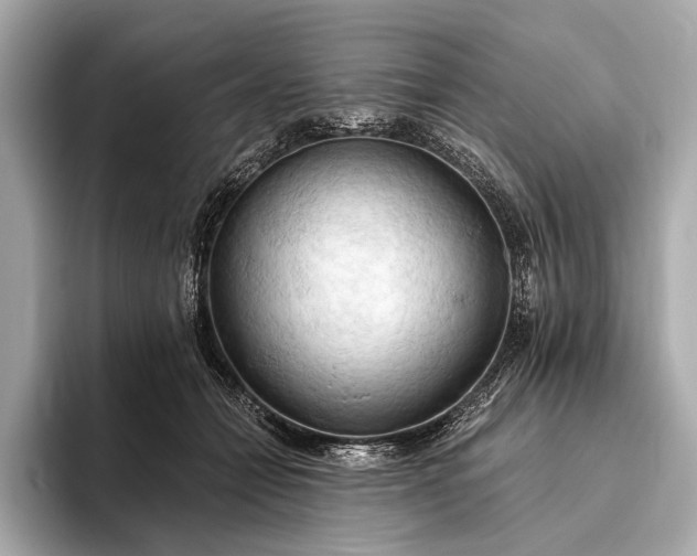 X0000093410558200710260940