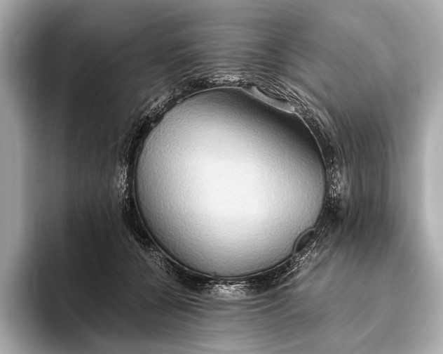 X0000093410560200710260940