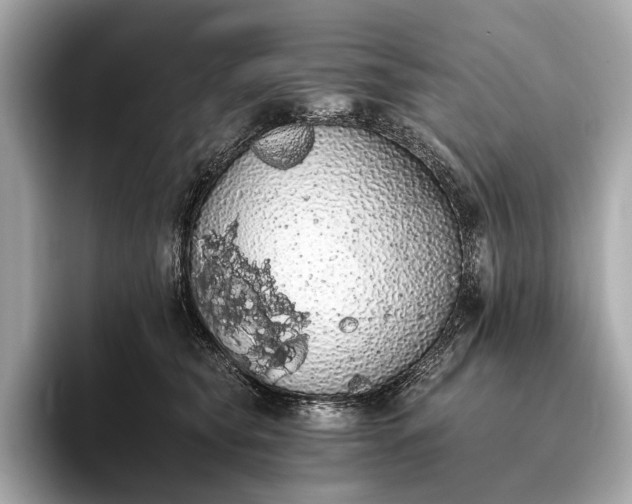 X0000093410565200710260940