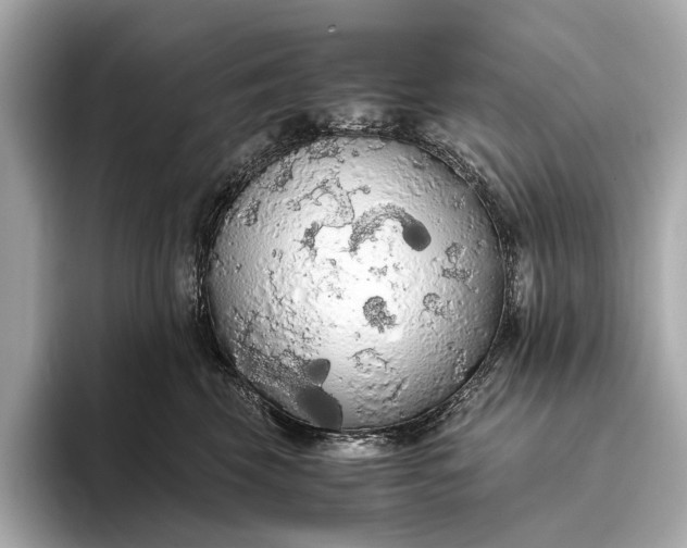 X0000093410569200710260940