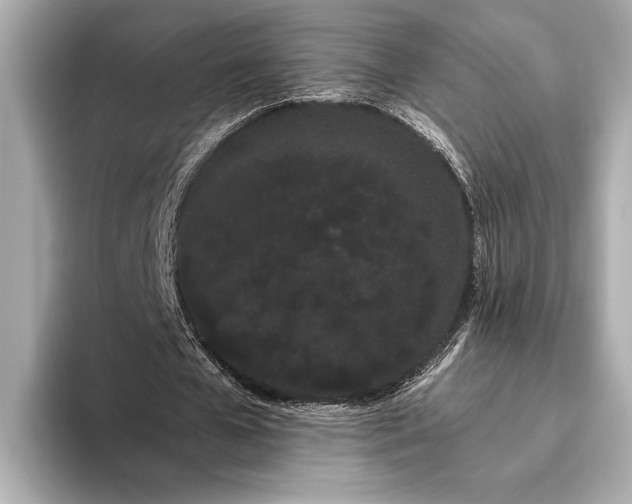 X0000093410577200710260940