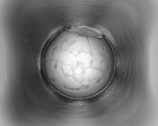 X0000093410578200710260940