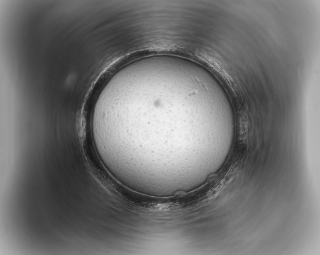 X0000093410584200710260939