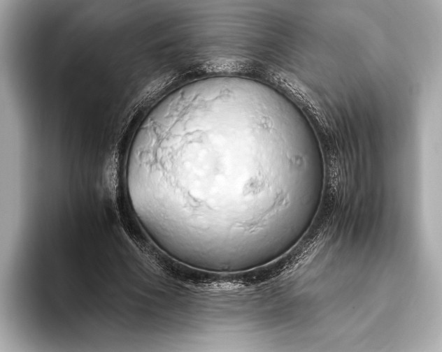 X0000093410586200710260939