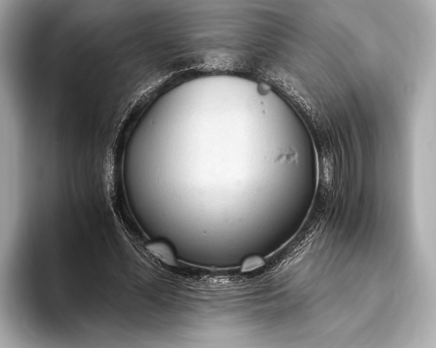 X0000093410588200710260939