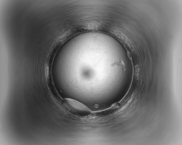 X0000093410589200710260939