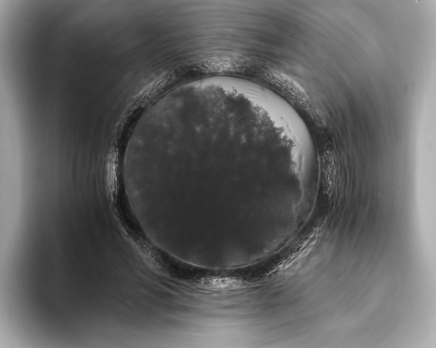 X0000093410590200710260939