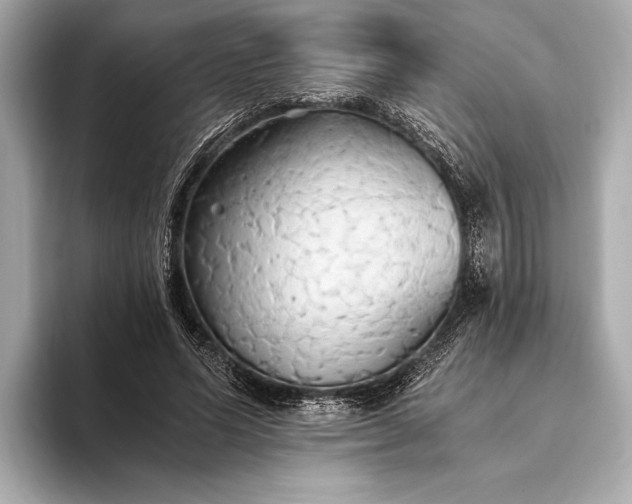 X0000093410591200710260939