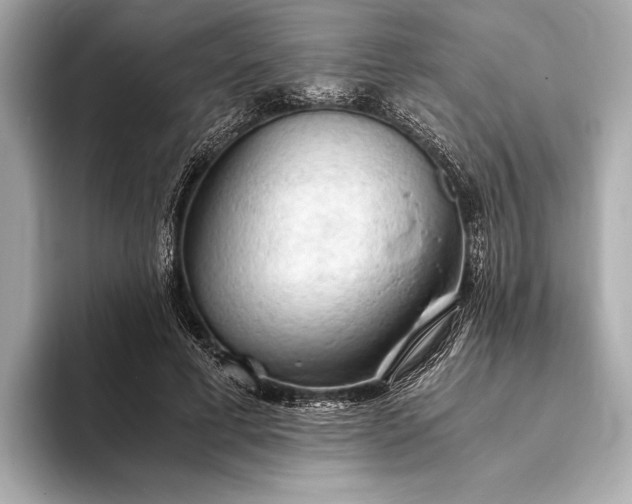 X0000093410593200710260939