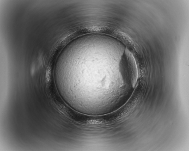 X0000093410596200710260939