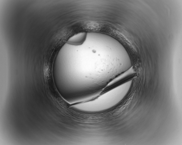 X0000093410597200710260939