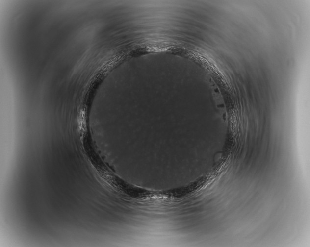 X0000093410598200710260939