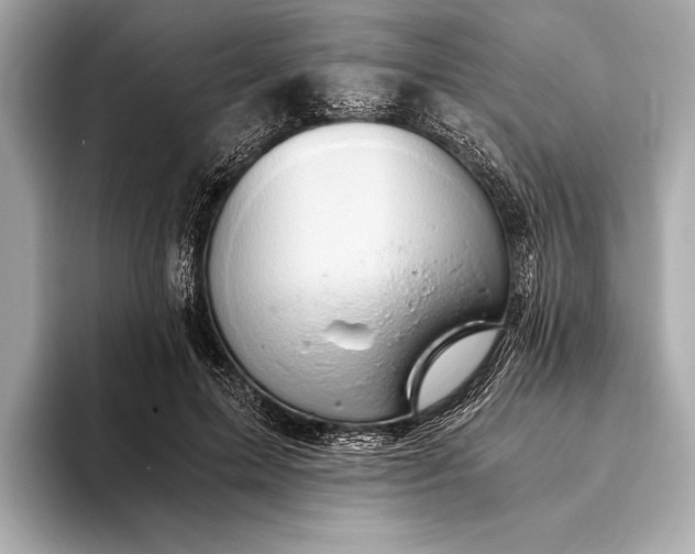 X0000093410599200710260939