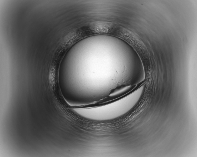 X0000093410600200710260939