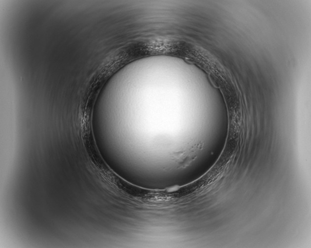 X0000093410601200710260939